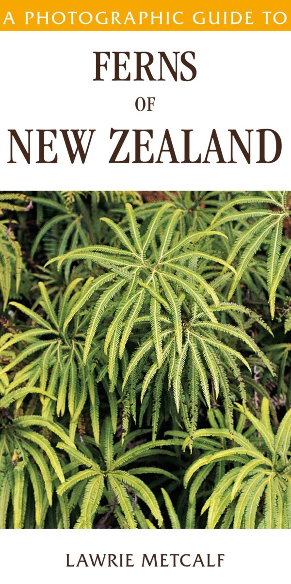 Photographic Guide to Ferns of New Zealand