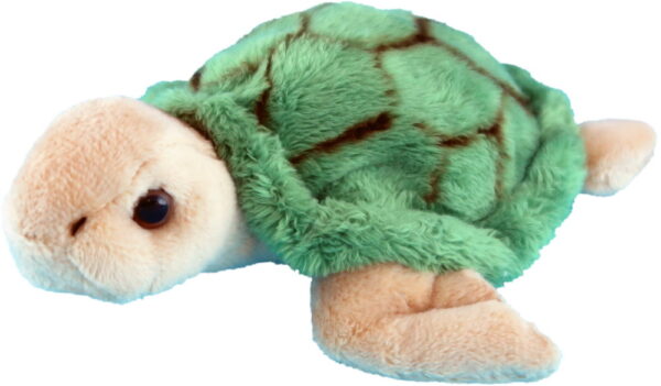 Wild Mini Green Turtle