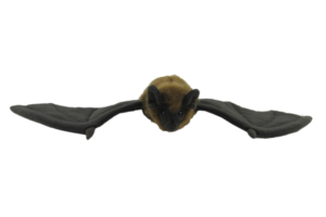 Long-Tailed Bat / Pekapeka Tou-Roa Plush Toy