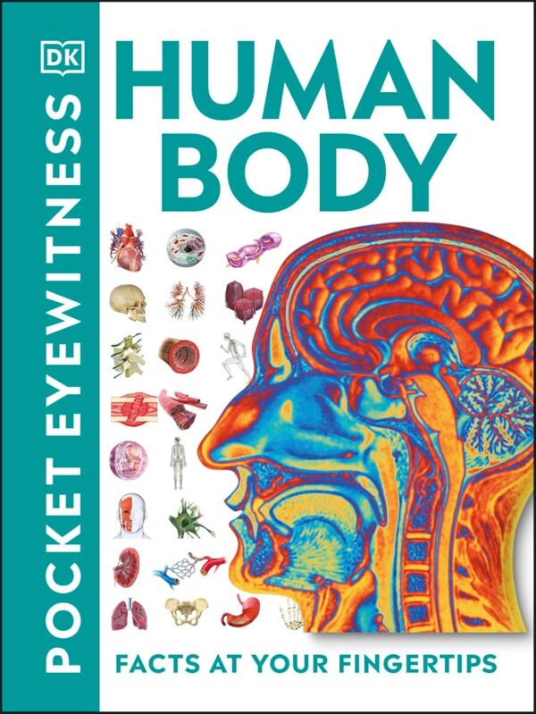 Human Body (Pocket Eyewitness)