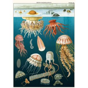 Jellyfish Vintage Poster Wrap