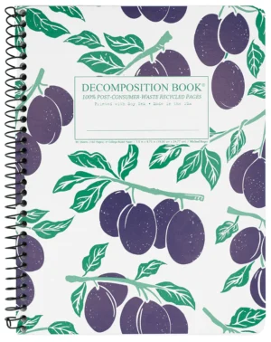 Decomposition Spiral Notebook Ruled Large Italian Plums