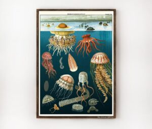Jellyfish Vintage Poster Wrap