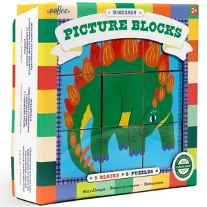 Dinosaur Picture Blocks 9 Blocks 6 Puzzels