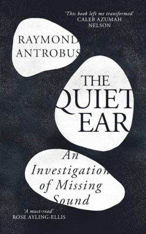 Quiet Ear: An Investigation of Missing Sound