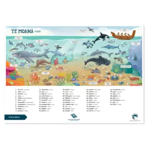 Te Reo Maori Ocean A2 Wall Poster