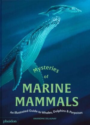 Mysteries of Marine Mammals: An Illustrated Guide to Whales, Dolphins, and Porpoises