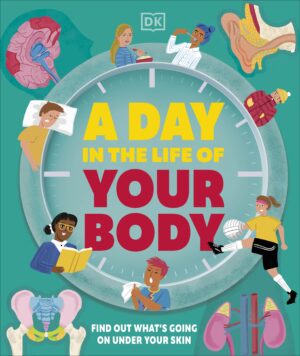 Day in the Life of Your Body: Find Out What's Going on Under Your Skin