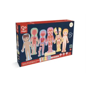 Hape Human Body Magnetic Puzzle