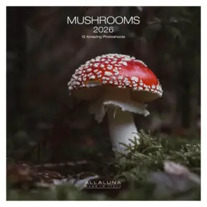 Mushrooms Square Wall Calendar 2026