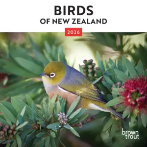New Zealand Birds 2026 Mini