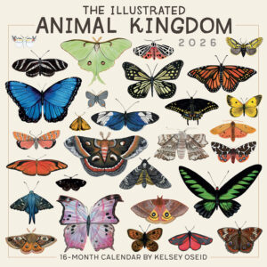 Illustrated Animal Kingdom 2026 Square