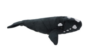 Southern Right Whale Toy with Sound