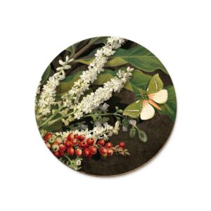 Nikau Berries Kohekohe Te Kouka Coaster