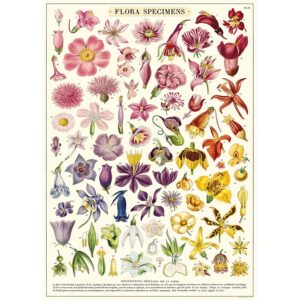Flora Specimens Vintage Poster Wrap