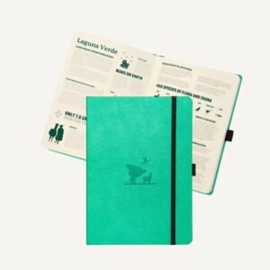 Dingbats Earth A5 Emerald Eduardo Avaroa Notebook – Dotted