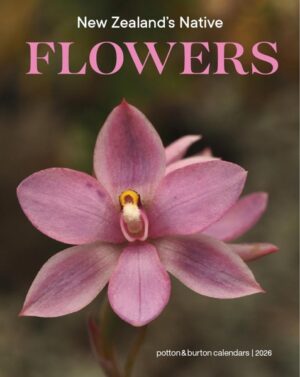 New Zealand Native Flowers Calendar 2026