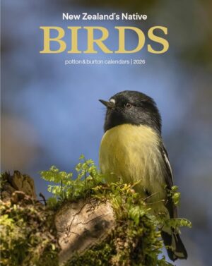 New Zealand Native Birds Calendar 2026