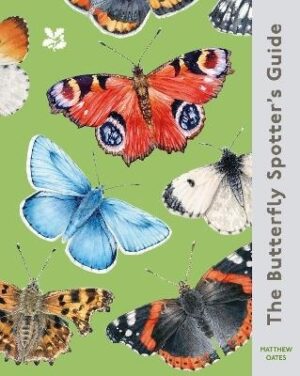 Butterfly Spotter's Guide