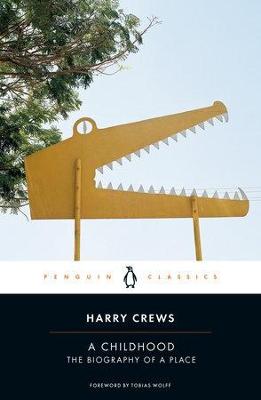 Childhood: The Biography of a Place