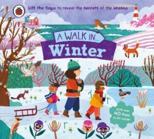 Walk in Winter: Lift the flaps to reveal the secrets of the season
