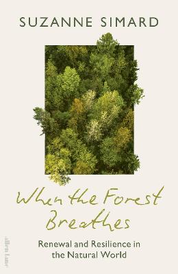 When the Forest Breathes: Renewal and Resilience in the Natural World