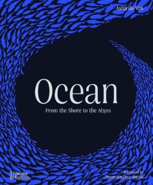 Ocean: From the Shore to the Abyss