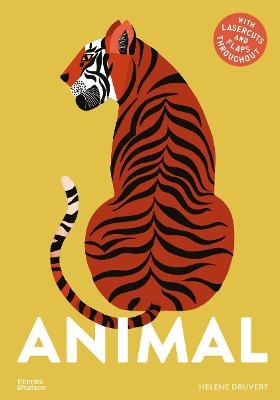 Animal
