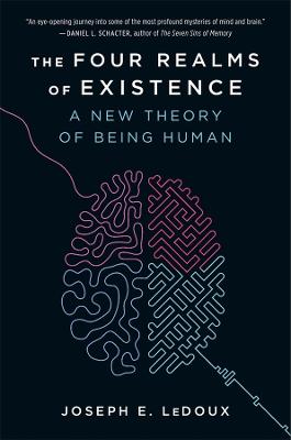 Four Realms of Existence: A New Theory of Being Human