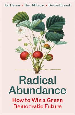 Radical Abundance: How to Win a Green Democratic Future