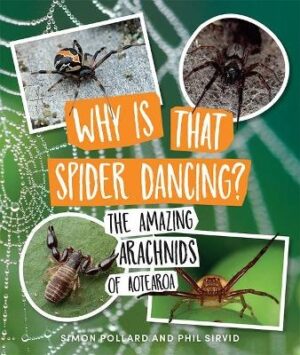 Why Is That Spider Dancing? The Amazing Arachnids of Aotearoa