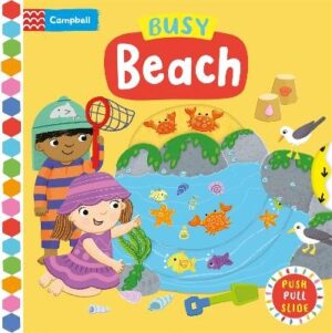 Busy Beach: A Push, Pull, Slide Book