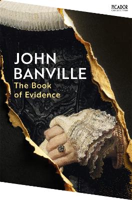 Book of Evidence