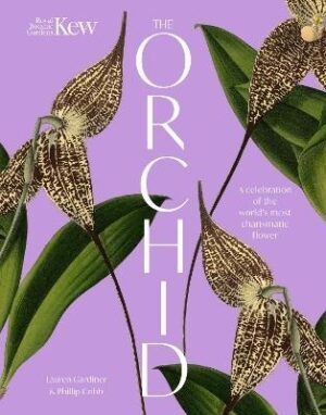 Orchid: Royal Botanic Gardens, Kew: A celebration of the world's most charismatic flower