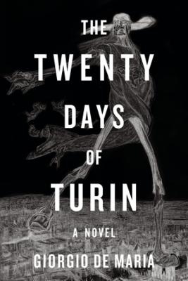 Twenty Days of Turin: A Novel