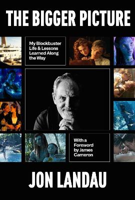 Bigger Picture: My Blockbuster Life and Lessons Learned Along the Way