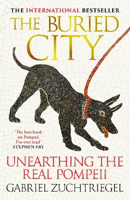 Buried City: Unearthing the Real Pompeii (Hardback)