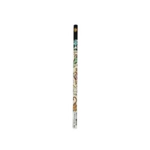 Celestial Planisphere (Early Cartography) Pencil