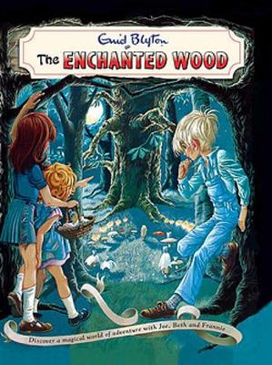 Enchanted Wood: The Magic Faraway Tree v1 Vintage edition