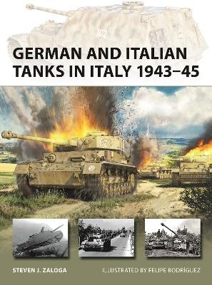 German and Italian Tanks in Italy 1943-45