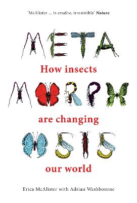 Metamorphosis: How insects are changing our world