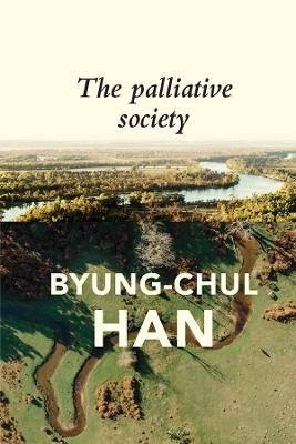 Palliative Society: Pain Today