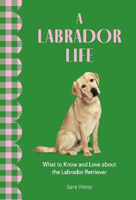 Labrador Life: What to Know and Love About the Labrador Retriever
