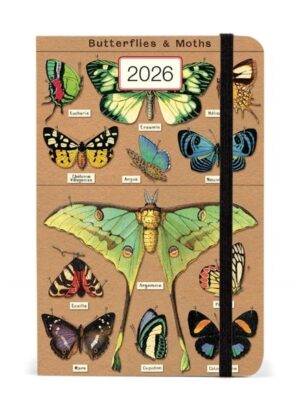 Entomology Weekly Planner 2026
