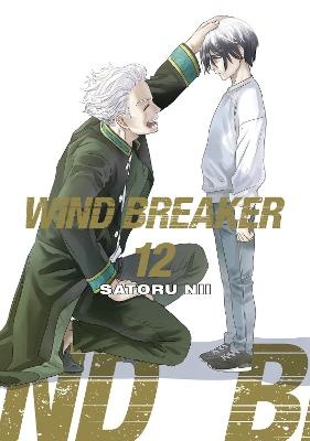 Wind Breaker v12