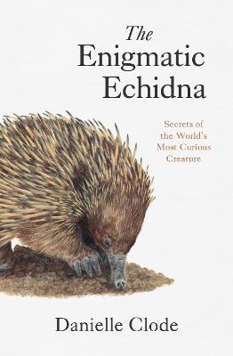 Enigmatic Echidna: Secrets of the World's Most Curious Creature