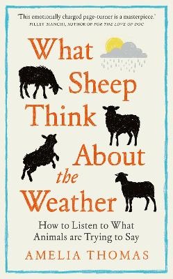 What Sheep Think About the Weather: How to listen to what animals are trying to say