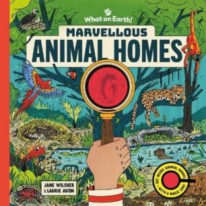 Marvellous Animal Homes: A Magic Lens Book
