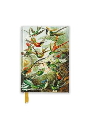 Ernst Haeckel: Hummingbirds (Foiled Pocket Journal)