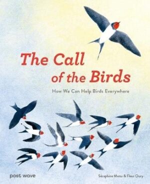 Call of the Birds: How We Can Help Birds Everywhere
